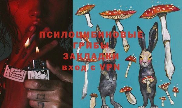 тгк Абинск
