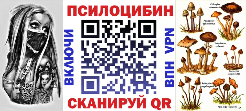 kraken как зайти  Саранск  Псилоцибиновые грибы ЛСД 