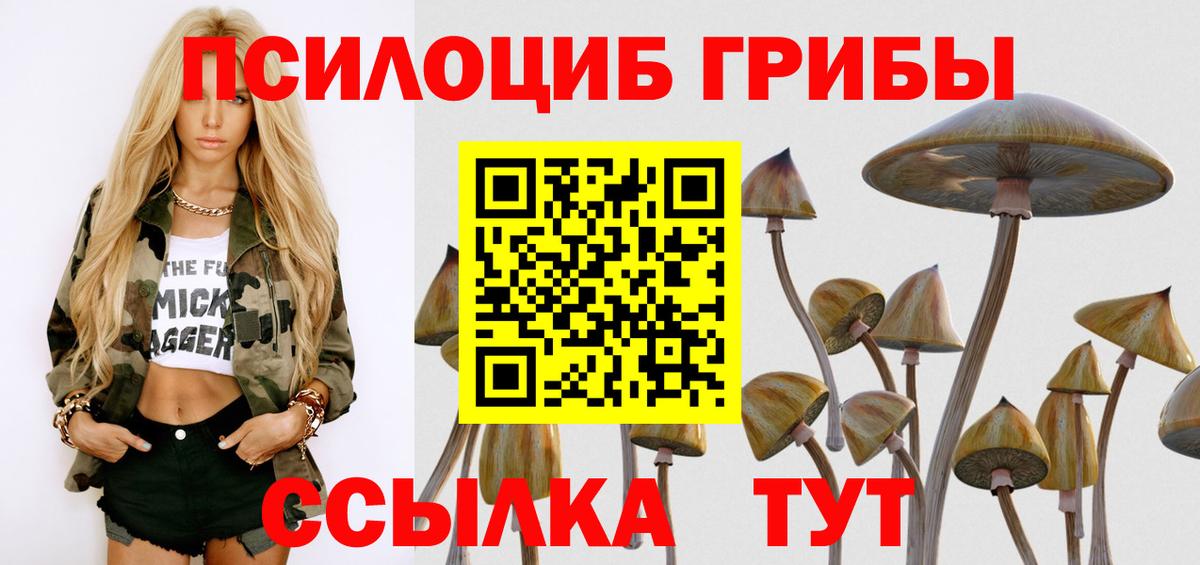 Псилоцибиновые грибы ЛСД  хочу   Саранск  Вход с VPN 