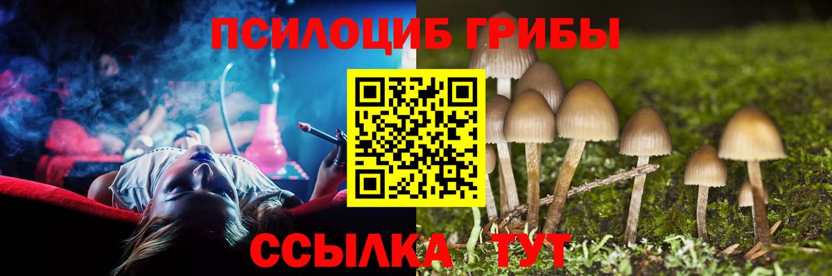 Галлюциногенные грибы мицелий Саранск