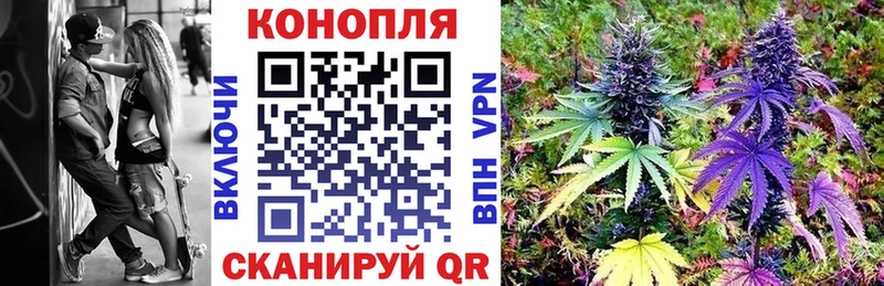 цены   Саранск  Конопля ГИДРОПОН 