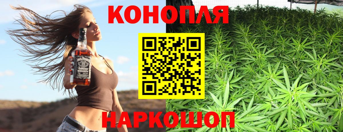 Каннабис индика Саранск